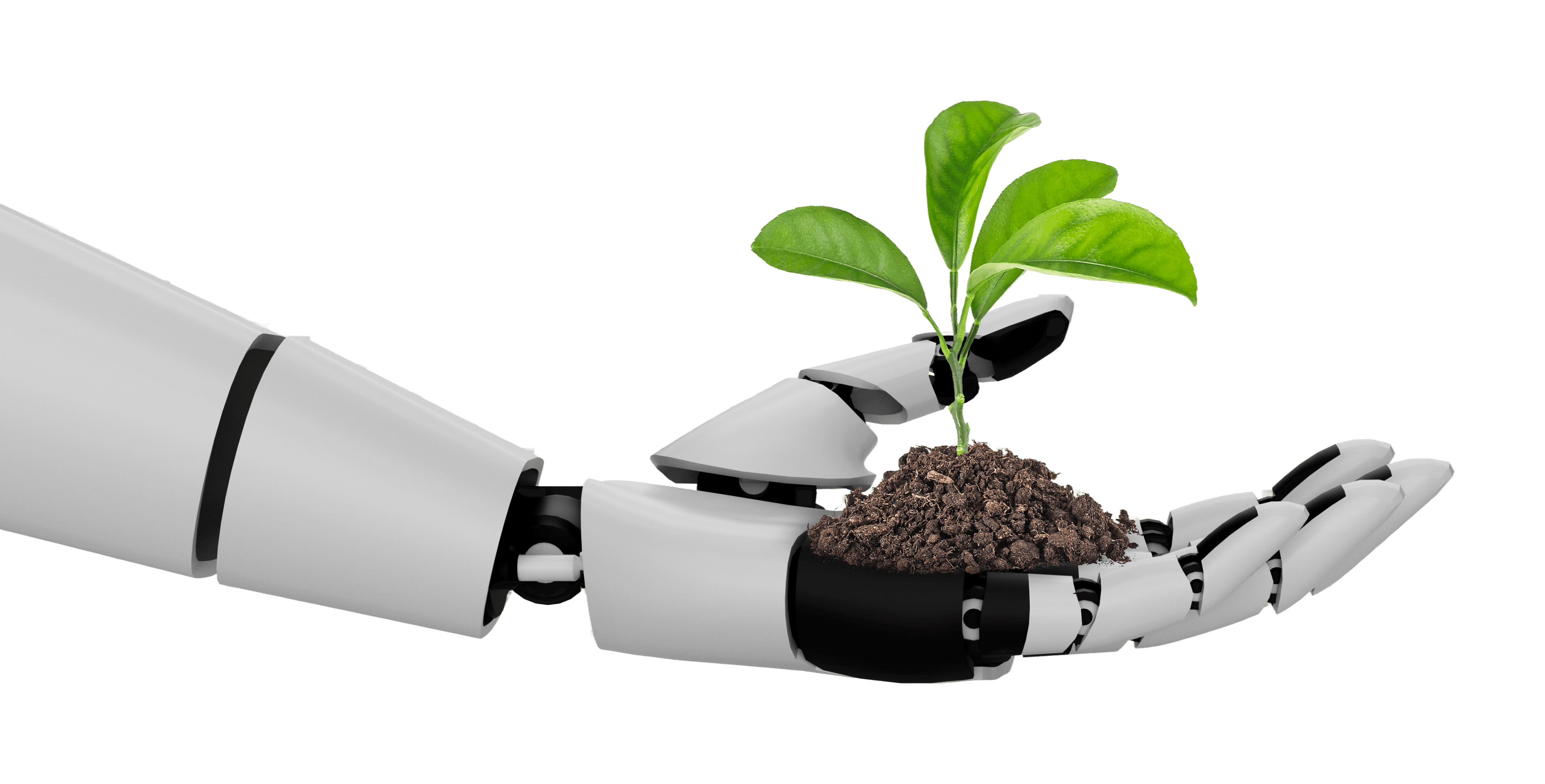 Implement Smart Sustainable Practices