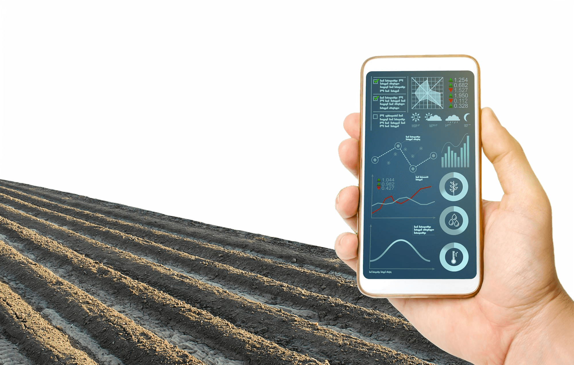Carbon Credit Calculation & Verification