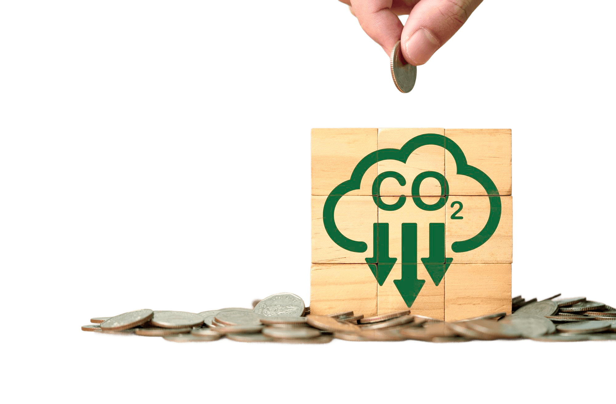 Credit Sale & Farmer Payment