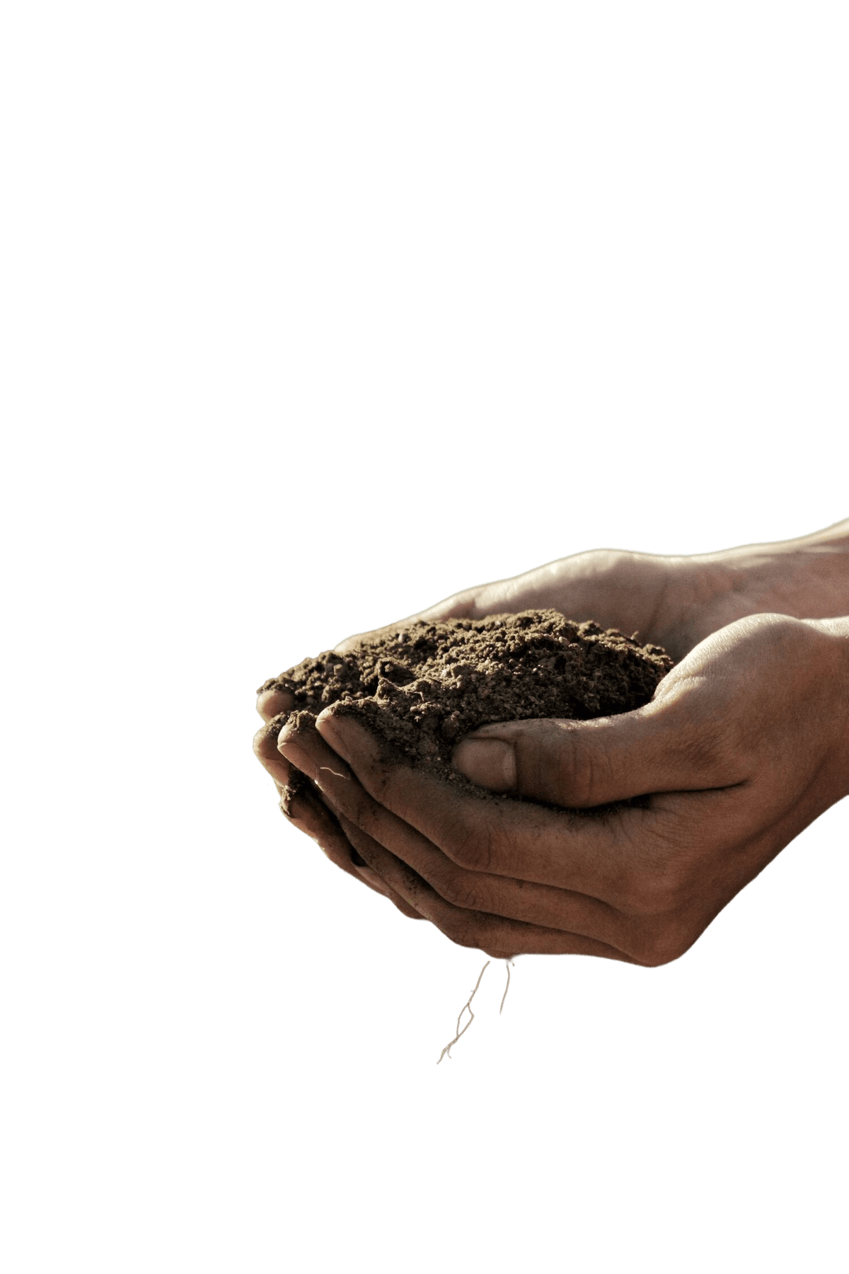 Improve soil health & crop yield