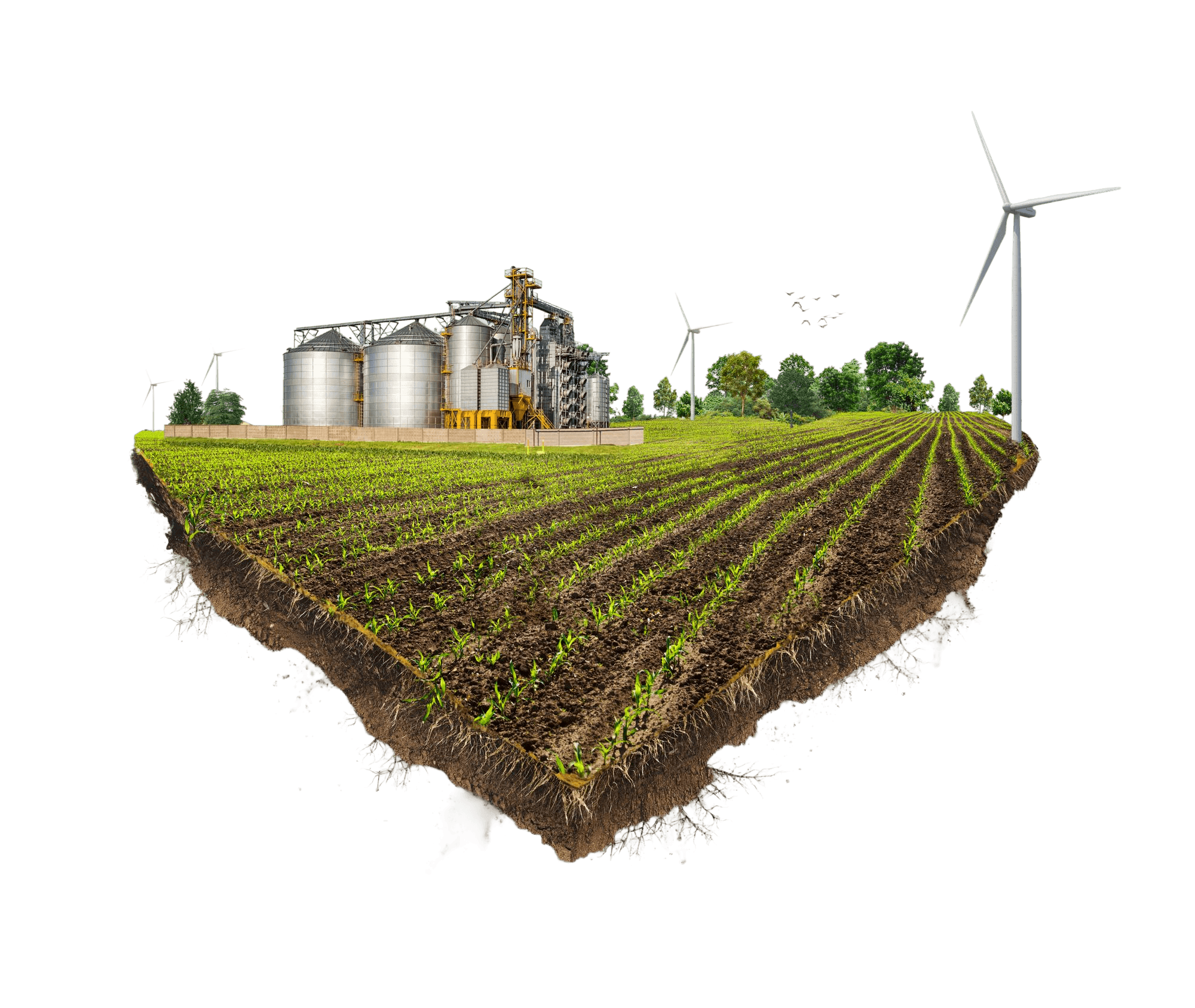 Practice sustainable farming