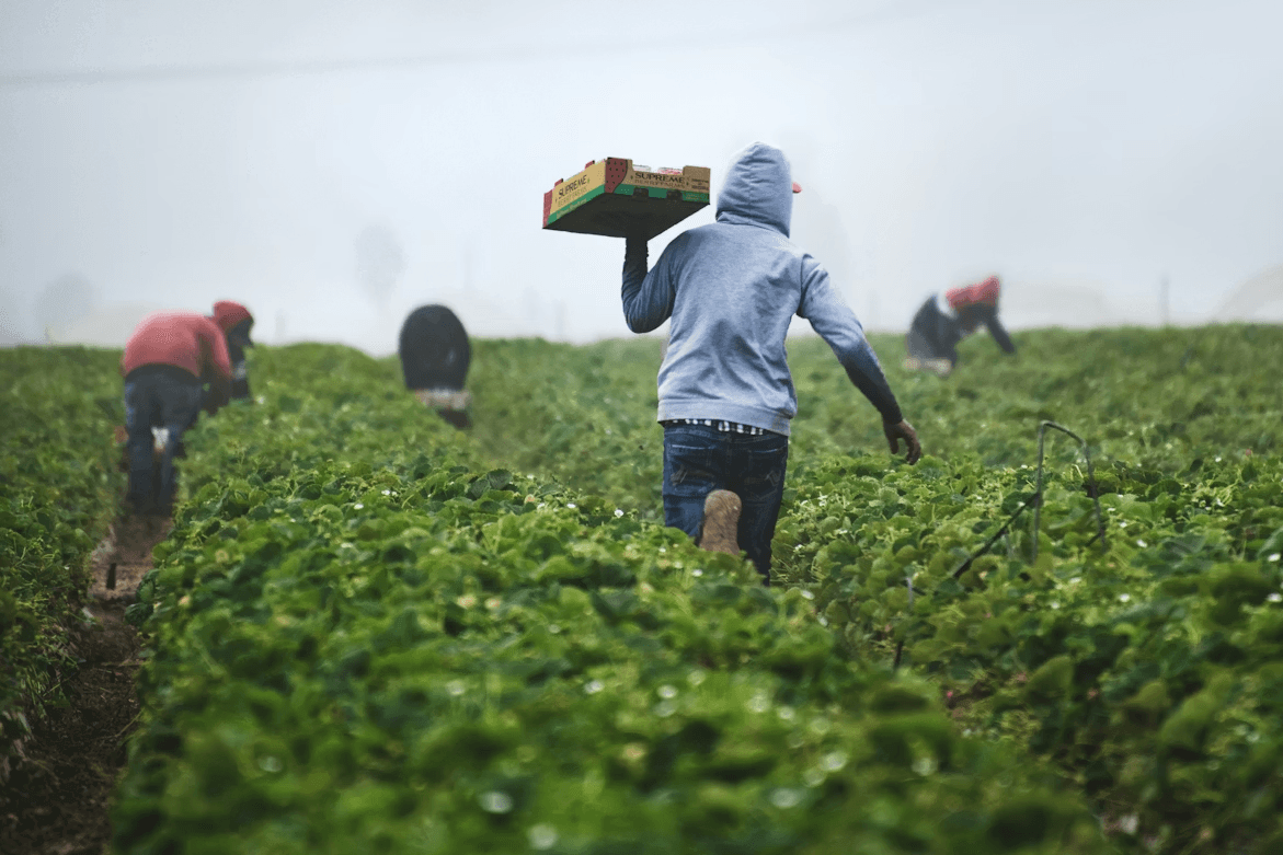 Sustainable Farming Background