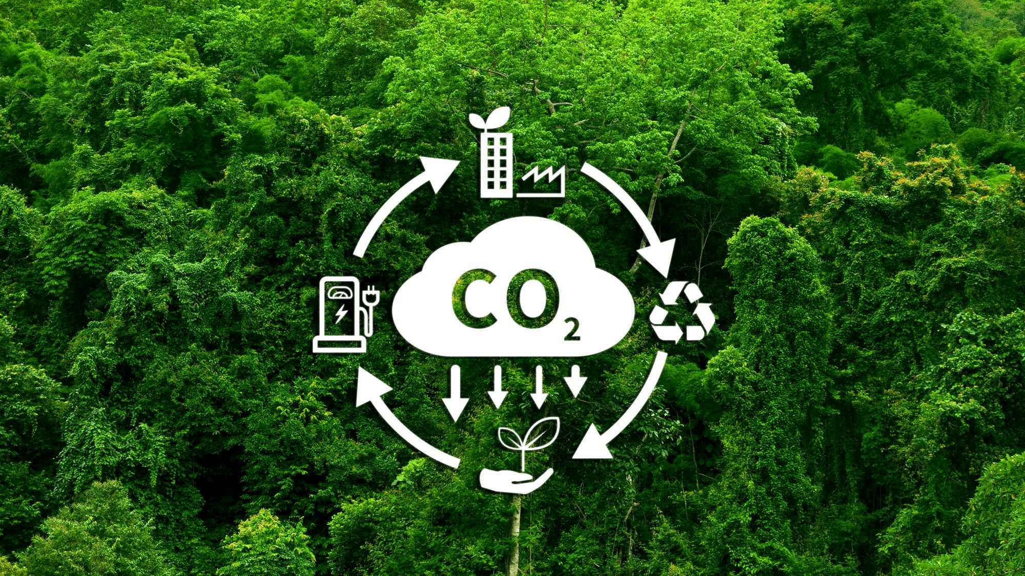 Carbon Registry Systems