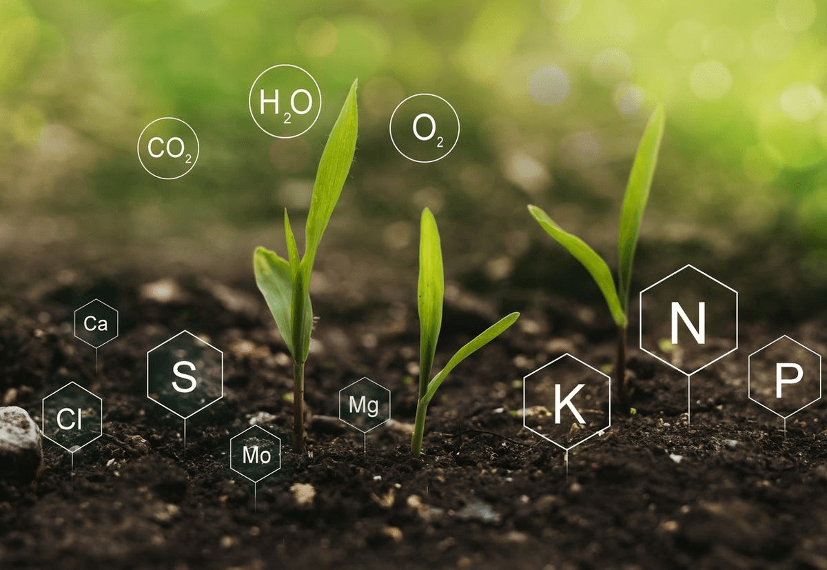 Soil Health