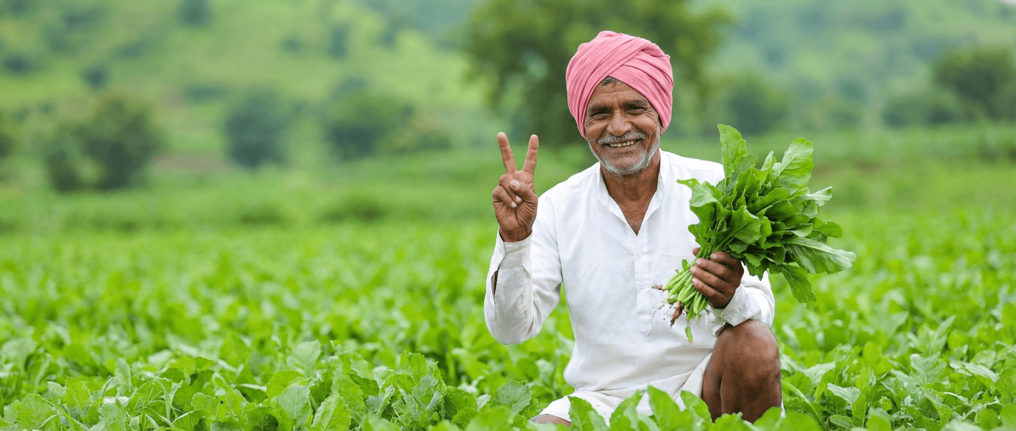 Individual Farmers