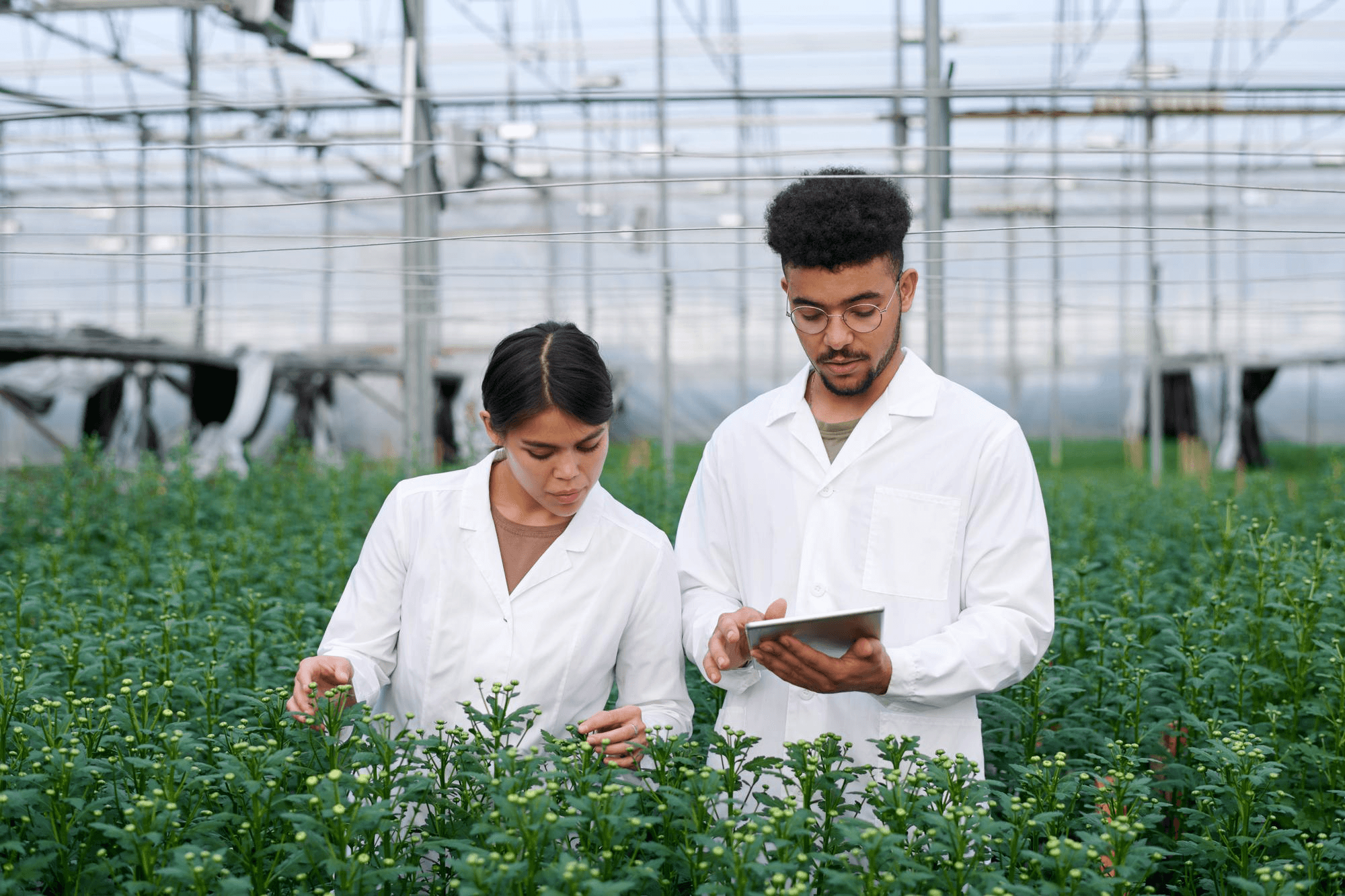 Agri Enterprises