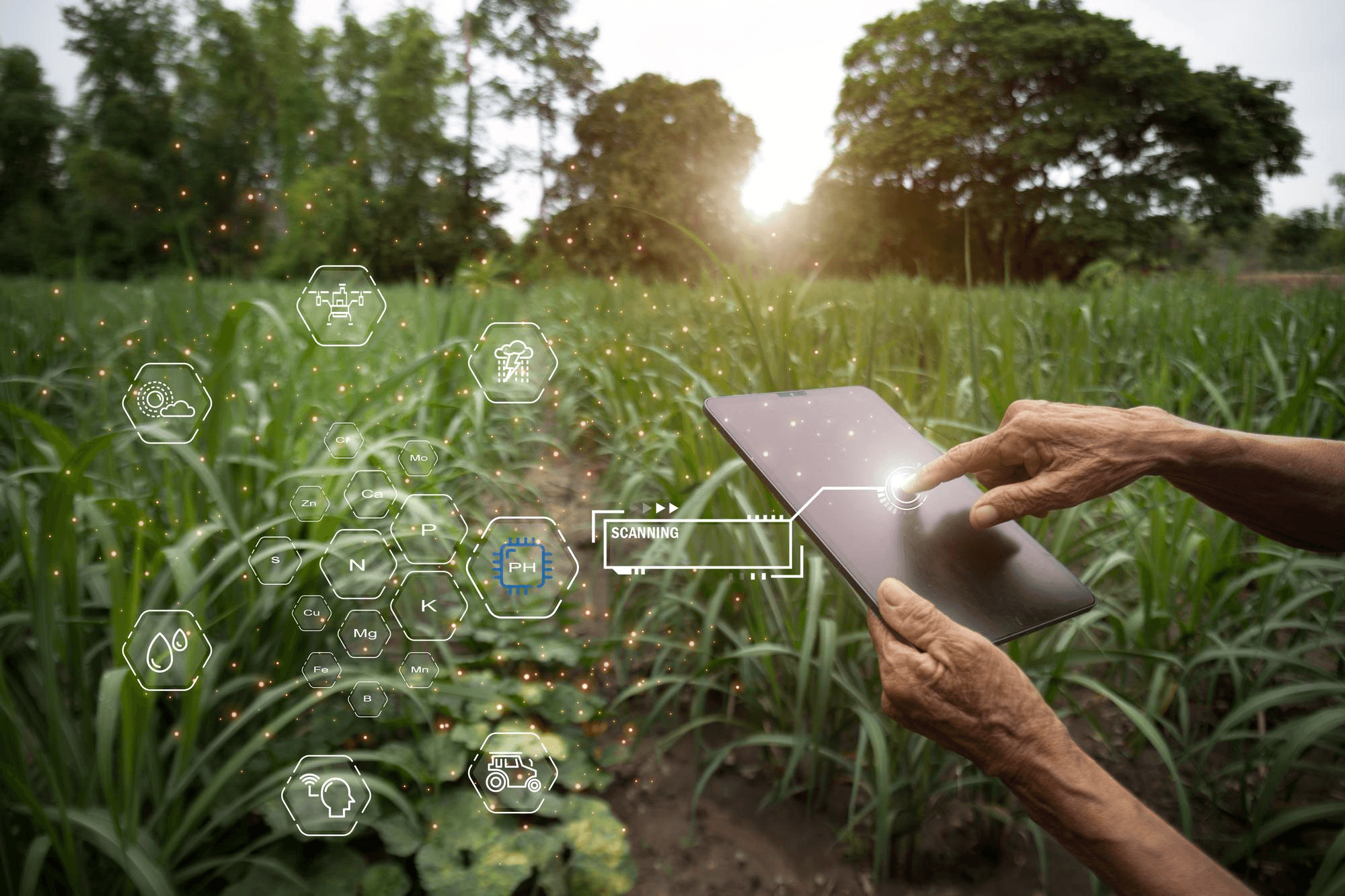 Sustainable Farming Background