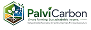 Palvi Carbon Logo