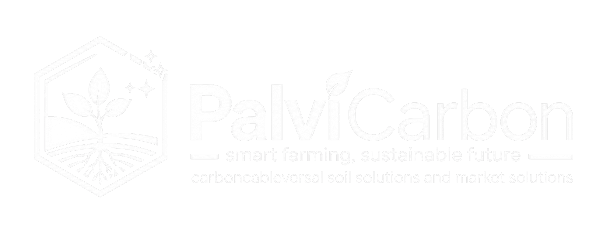 PalviCarbon Footer Logo